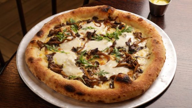 Brooklyn Funghi